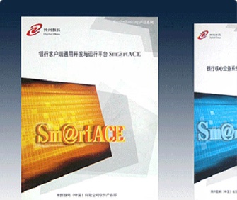 神州數(shù)碼銀?客戶端平臺宣傳冊設(shè)計