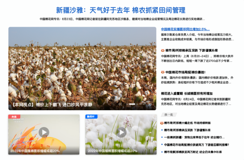 中國棉花網(wǎng)設(shè)計方案