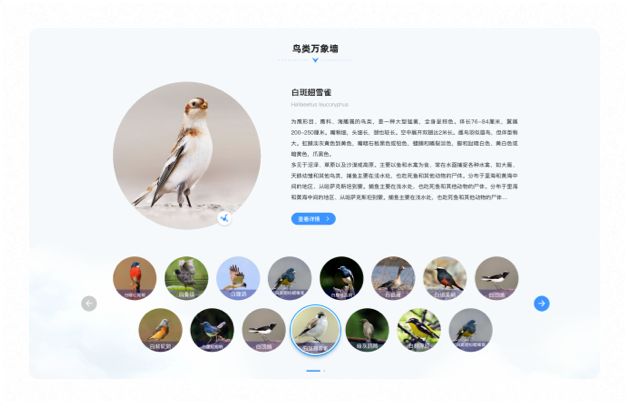 高端網(wǎng)站設(shè)計(jì)